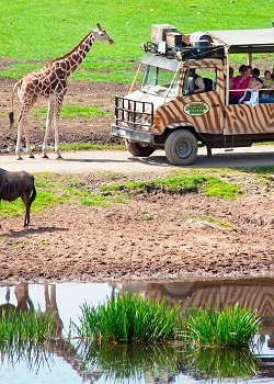 2-denní Serengeti, Safari Lodges 3*